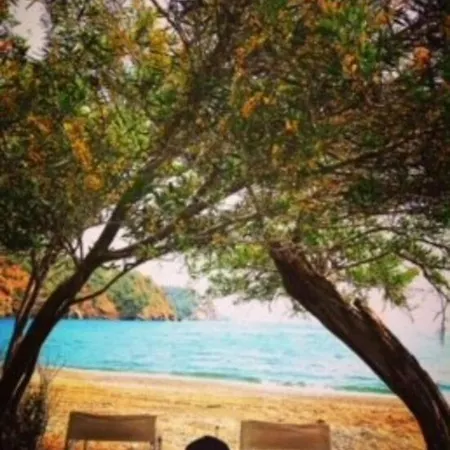 Akdeniz , In Inlice Natural Vocation! 4*